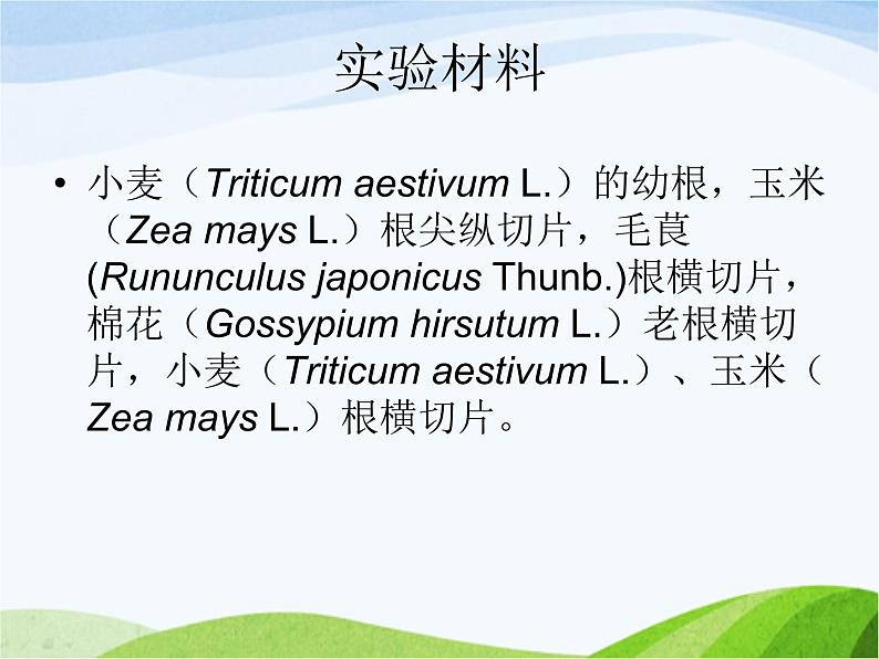 青岛小学科学四上《2-植物的根》PPT课件-(3)第4页