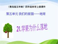 青岛版 (五四制)四年级上册第五单元 我们的家园——地球21 苹果为什么落地示范课课件ppt