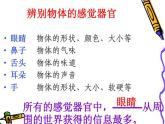 青岛小学科学三上《4-怎样认识物体》PPT课件-(8)