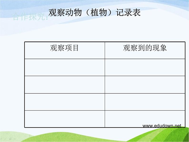 青岛小学科学三上《3-我们身边的动植物》PPT课件-(2)第8页