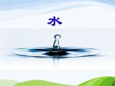 青岛小学科学三上《14-认识水》PPT课件-(1)