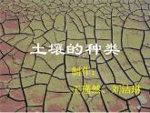 青岛小学科学三下《11-土壤的种类-》PPT课件-(1)