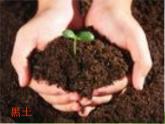青岛小学科学三下《11-土壤的种类-》PPT课件-(1)