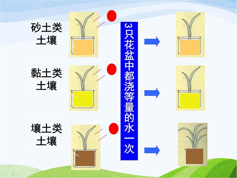 青岛小学科学三下《11-土壤的种类-》PPT课件-(2)08