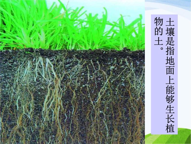 青岛小学科学三下《11-土壤的种类-》PPT课件-(3)04