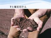 青岛小学科学三下《10-土壤里有什么》PPT课件-(1)