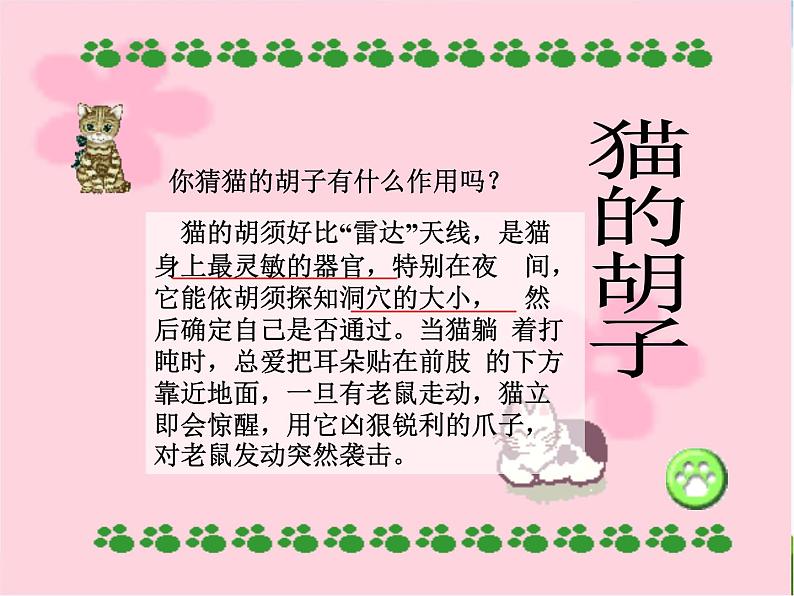 青岛小学科学三下《17-猫和兔》PPT课件-(1)06