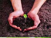 青岛小学科学三下《12-土壤与植物》PPT课件-(1)