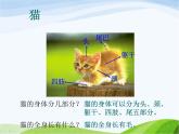 青岛小学科学三下《17-猫和兔》PPT课件-(3)