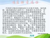 青岛小学科学四下《16-变色龙》PPT课件-(10)