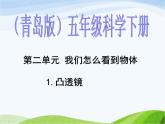 青岛小学科学四下《13-凸透镜》PPT课件-(12)