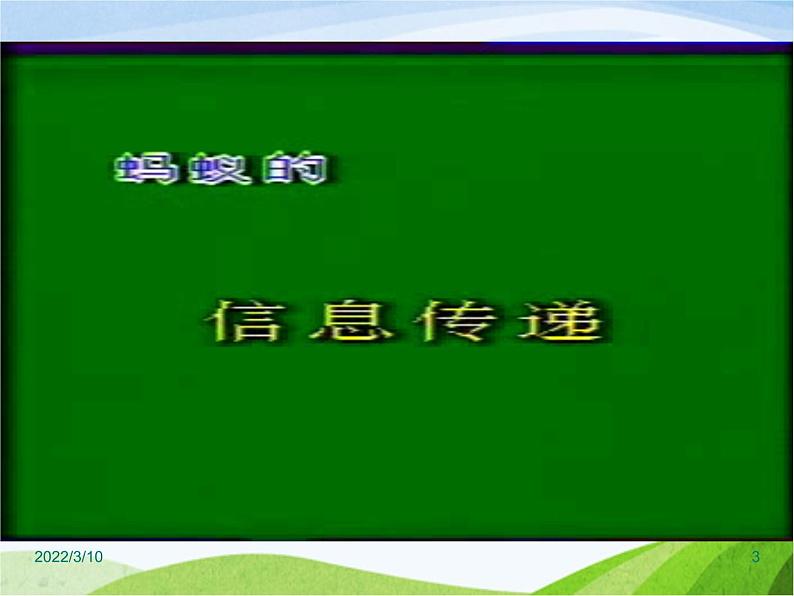 青岛小学科学四下《18-生物与信息》PPT课件03