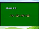 青岛小学科学四下《18-生物与信息》PPT课件