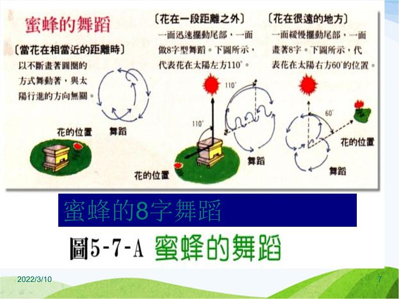 青岛小学科学四下《18-生物与信息》PPT课件07