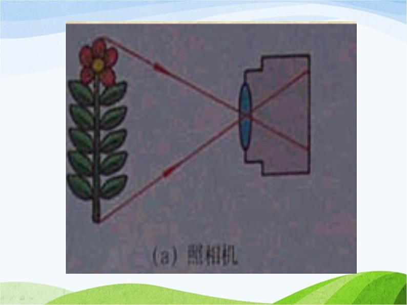 青岛小学科学四下《14-照相机和眼睛》PPT课件-(3)第5页