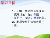 青岛小学科学四下《16-变色龙》PPT课件-(5)