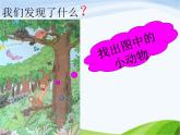 青岛小学科学四下《16-变色龙》PPT课件-(5)