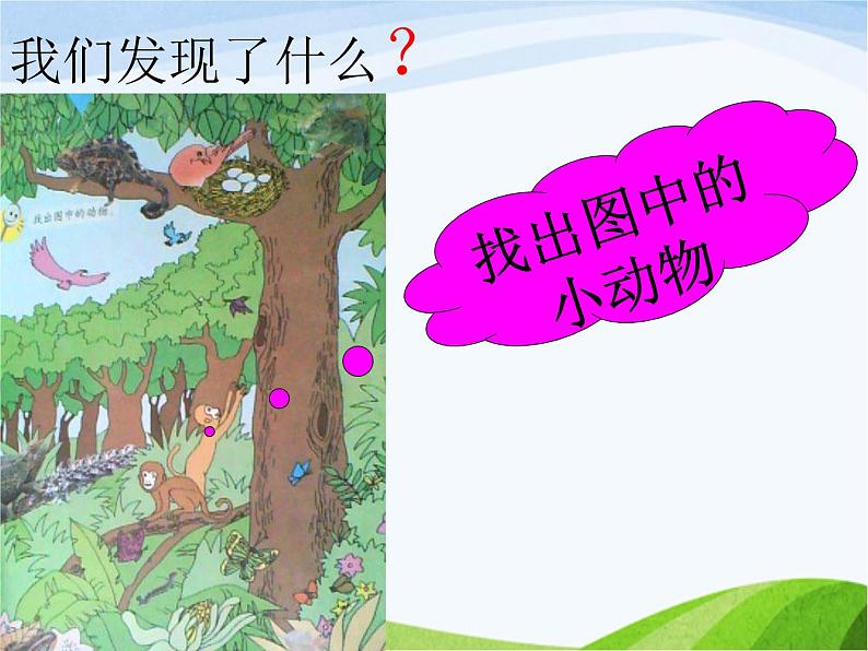 青岛小学科学四下《16-变色龙》PPT课件-(5)第3页