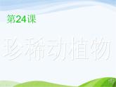 青岛小学科学四下《20-珍稀动植物》PPT课件-(3)