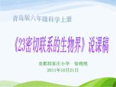 青岛小学科学四下《19-密切联系的生物界》PPT课件-(12)