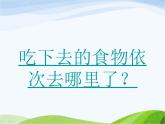 青岛小学科学五上《6-食物到哪里去了》PPT课件-(3)