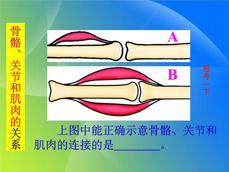 青岛小学科学五上《4-我们的身体》PPT课-件-(1)第6页