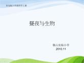 青岛小学科学四下《22-昼夜与生物》PPT课件-(10)