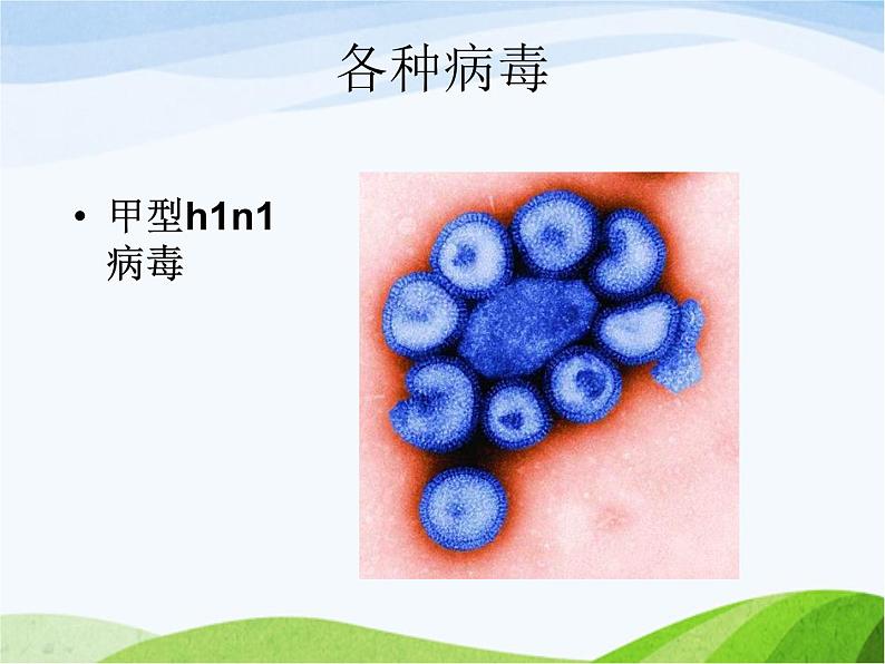 青岛小学科学五上《1-病毒》PPT课件-(2)06