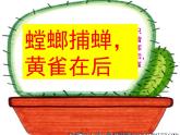 青岛小学科学四下《19-密切联系的生物界》PPT课件-(13)