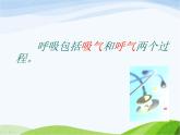 青岛小学科学五上《7.-我们的呼吸》PPT课-件-(2)