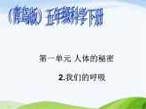 青岛小学科学五上《7.-我们的呼吸》PPT课-件-(1)