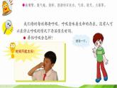 青岛小学科学五上《7.-我们的呼吸》PPT课-件-(1)