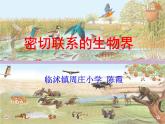 青岛小学科学四下《19-密切联系的生物界》PPT课件-(7)