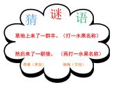 青岛小学科学四下《19-密切联系的生物界》PPT课件-(7)