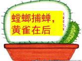 青岛小学科学四下《19-密切联系的生物界》PPT课件-(7)