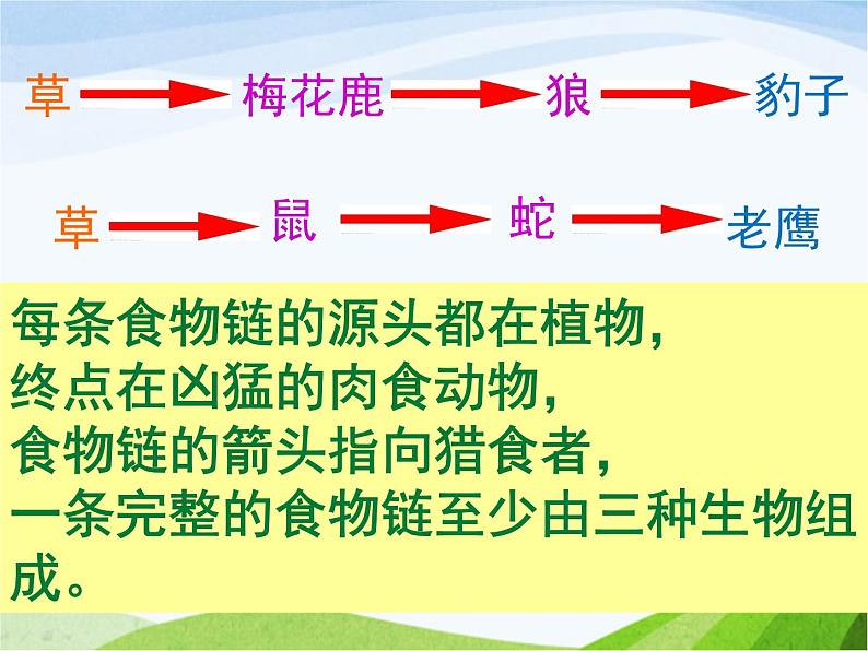 青岛小学科学四下《19-密切联系的生物界》PPT课件-(7)06