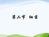 青岛小学科学五上《2-细菌》PPT课件-(2)