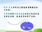 青岛小学科学五上《2-细菌》PPT课件-(2)