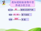 青岛小学科学五上《5-我们的营养》PPT课件-(3)