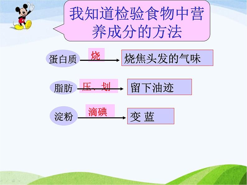 青岛小学科学五上《5-我们的营养》PPT课件-(3)第4页