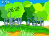 青岛小学科学四下《19-密切联系的生物界》PPT课件-(5)