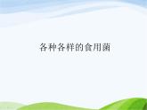 青岛小学科学五上《3-食用菌》PPT课件-(2)