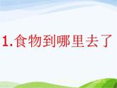 青岛小学科学五上《6-食物到哪里去了》PPT课件-(1)