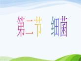 青岛小学科学五上《2-细菌》PPT课件-(4)
