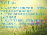 青岛小学科学四下《19-密切联系的生物界》PPT课件-(2)