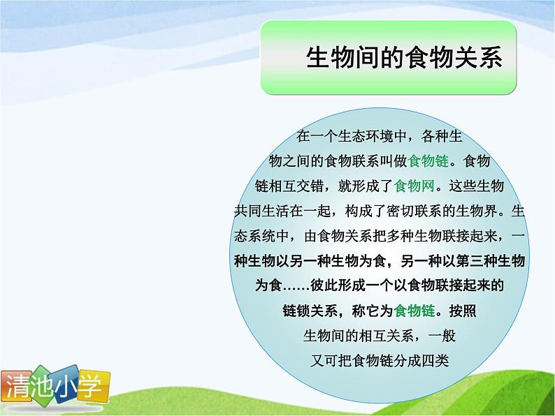 青岛小学科学四下《19-密切联系的生物界》PPT课件-(6)02