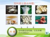 青岛小学科学五上《3-食用菌》PPT课件-(1)