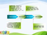 青岛小学科学四下《19-密切联系的生物界》PPT课件-(14)