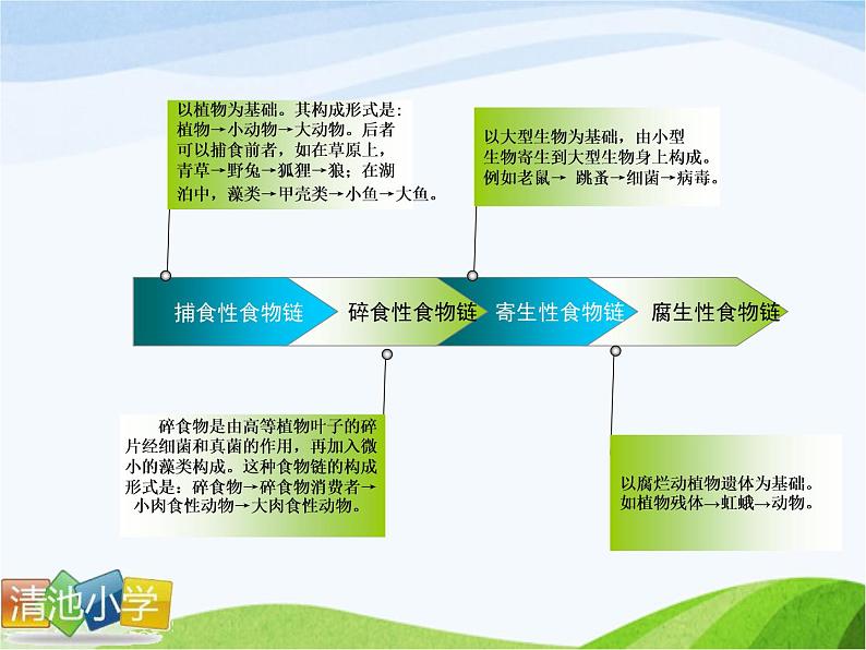 青岛小学科学四下《19-密切联系的生物界》PPT课件-(14)03