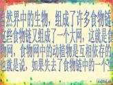 青岛小学科学四下《19-密切联系的生物界》PPT课件-(3)